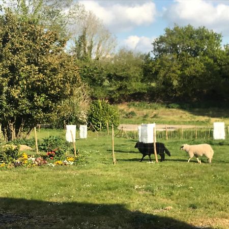 Gite De Kerfenefas Plouézocʼh Bagian luar foto