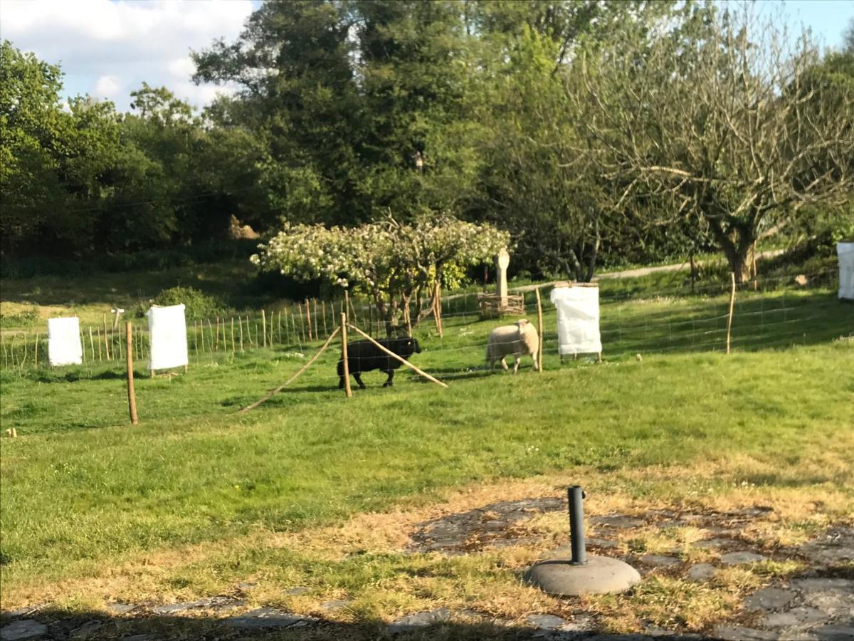 Gite De Kerfenefas Plouézocʼh Bagian luar foto